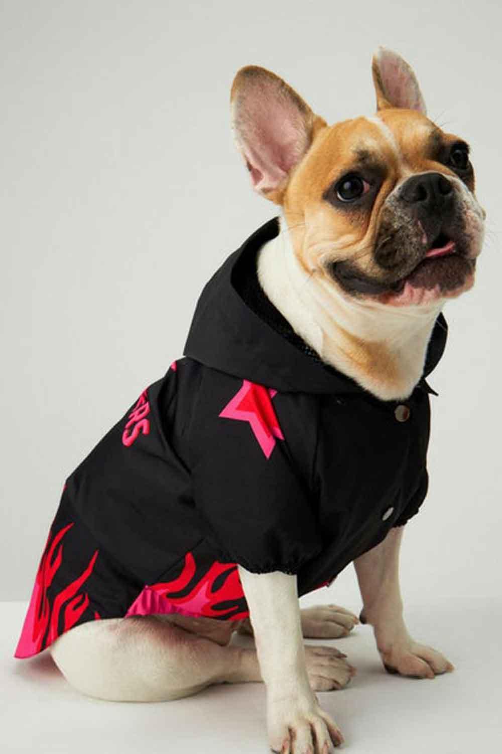 Little Monsters-Black Fire Yağmurluk-Köpek-5-Milagron.com