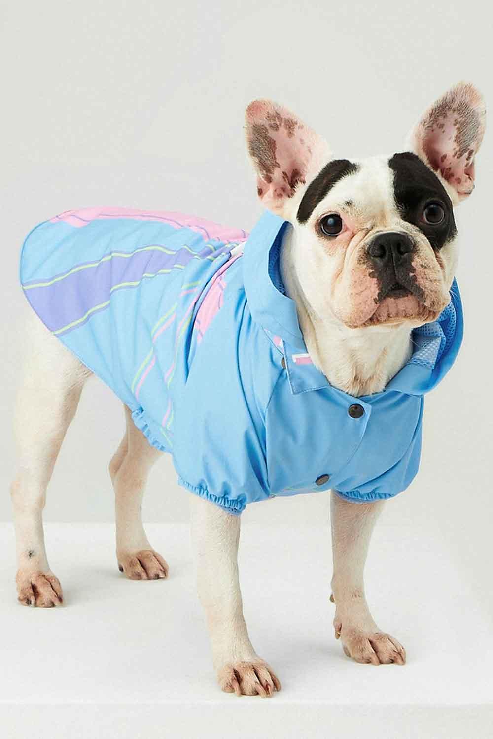 Little Monsters-Blue Single Cloud Yağmurluk-Köpek-2-Milagron.com