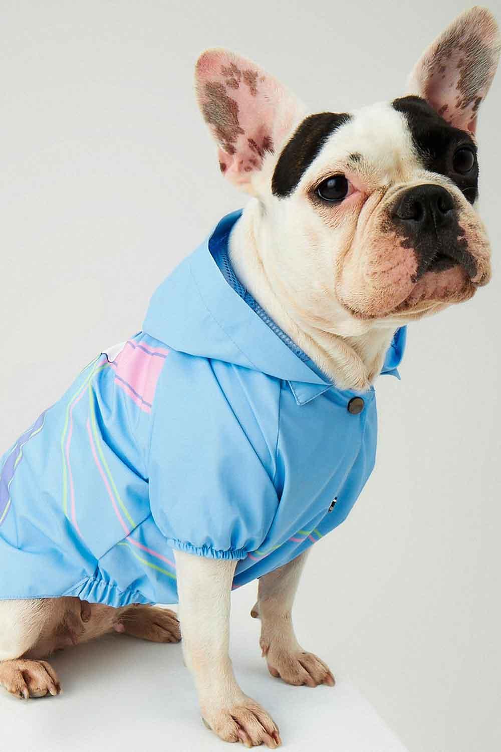 Little Monsters-Blue Single Cloud Yağmurluk-Köpek-3-Milagron.com