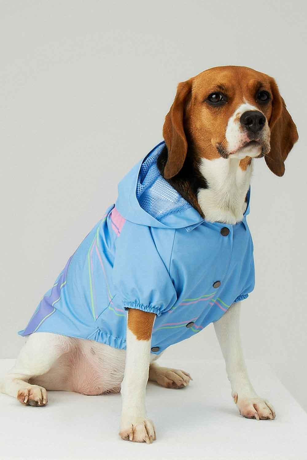 Little Monsters-Blue Single Cloud Yağmurluk-Köpek-4-Milagron.com