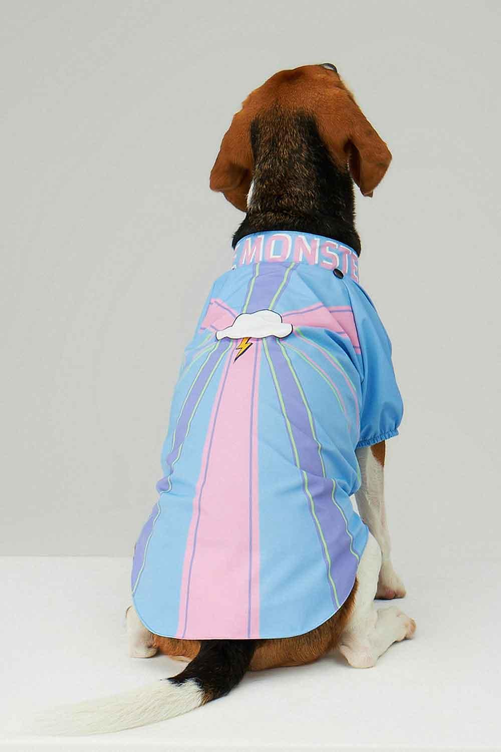 Little Monsters-Blue Single Cloud Yağmurluk-Köpek-5-Milagron.com