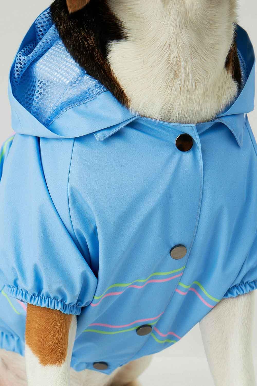 Little Monsters-Blue Single Cloud Yağmurluk-Köpek-6-Milagron.com