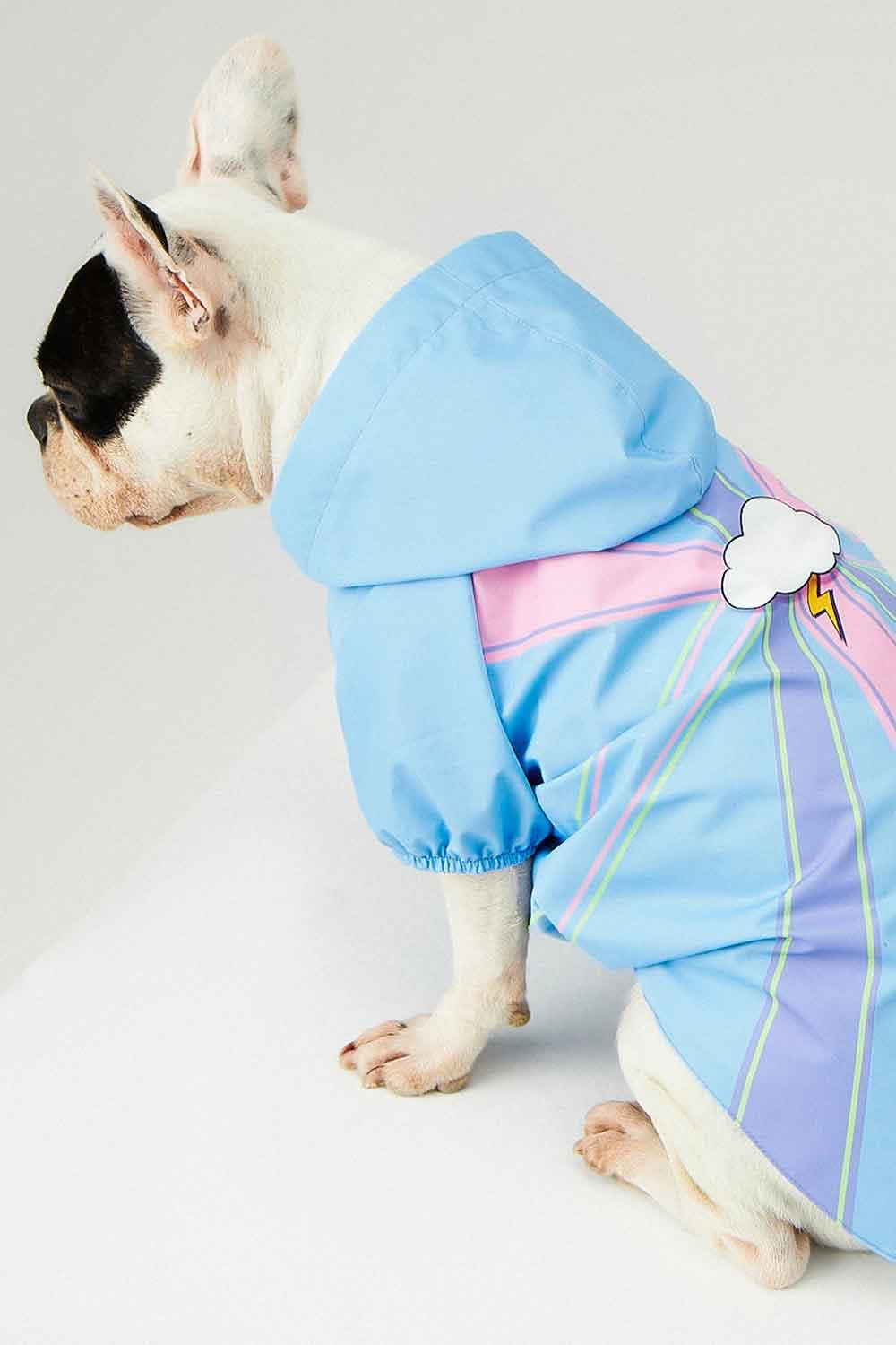 Little Monsters-Blue Single Cloud Yağmurluk-Köpek-8-Milagron.com