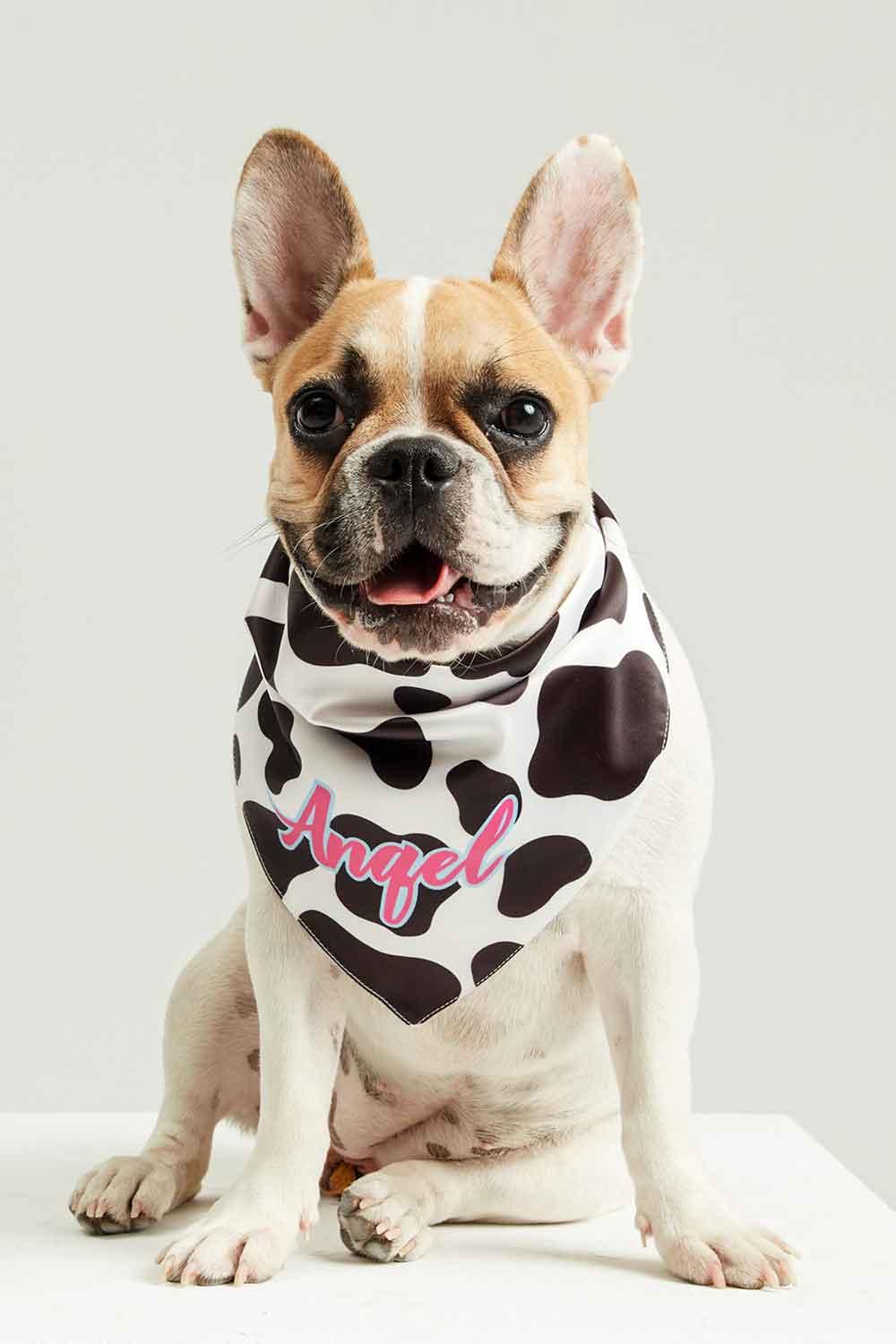 Little Monsters-Cow Print Angel Bandana-Köpek-1-Milagron.com