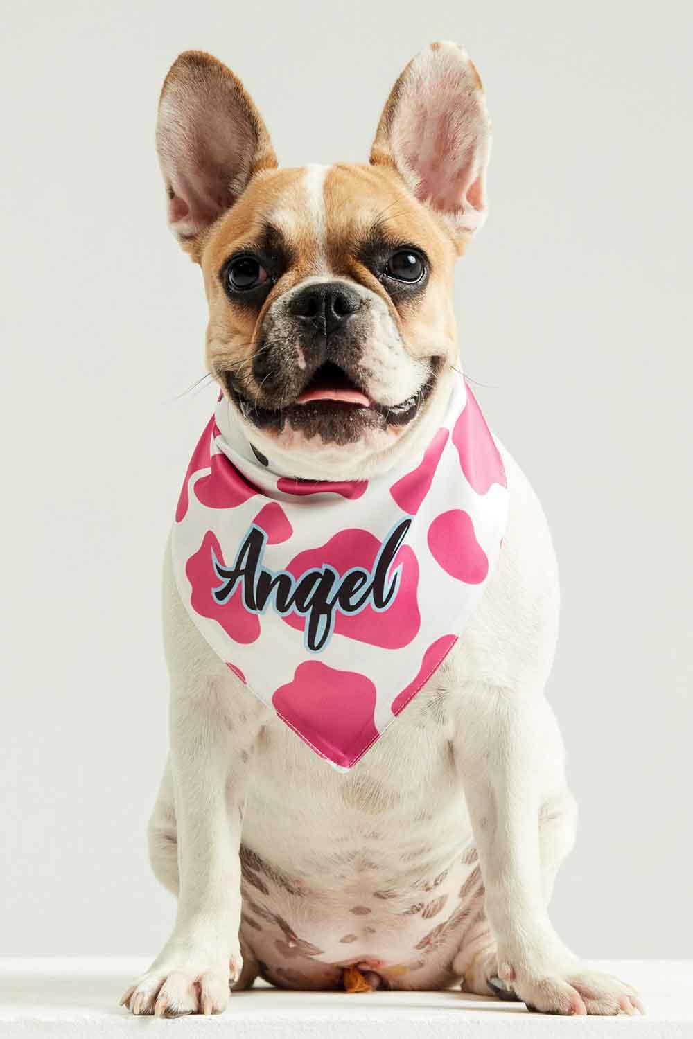 Little Monsters-Cow Print Angel Bandana-Köpek-4-Milagron.com