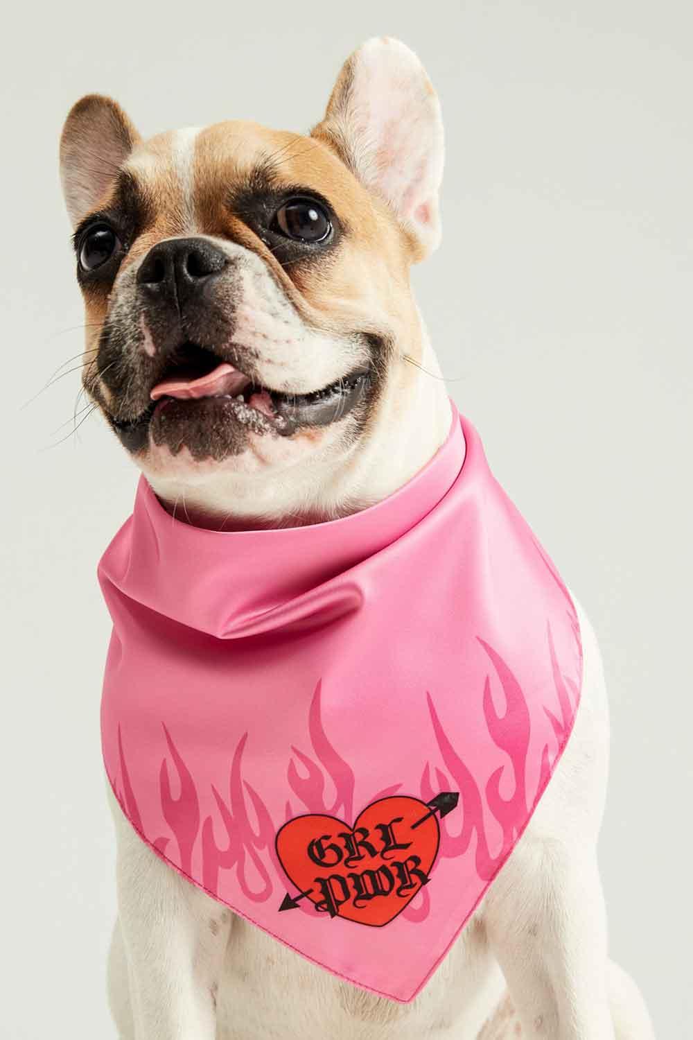 Little Monsters-GRL PWR Bandana-Köpek-1-Milagron.com