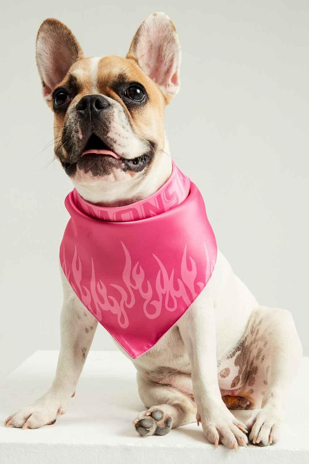 Little Monsters-GRL PWR Bandana-Köpek-5-Milagron.com