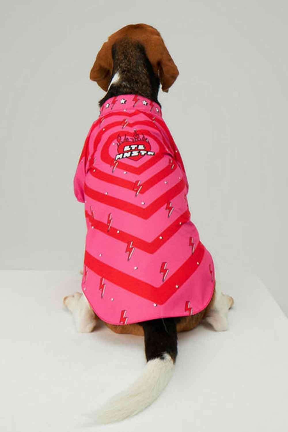 Little Monsters-Heart On Fire Yağmurluk-Köpek-2-Milagron.com