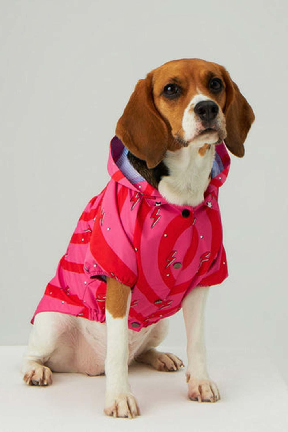 Little Monsters-Heart On Fire Yağmurluk-Köpek-3-Milagron.com