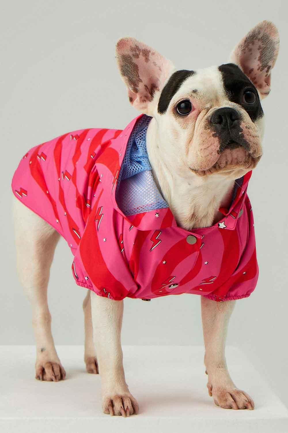 Little Monsters-Heart On Fire Yağmurluk-Köpek-4-Milagron.com