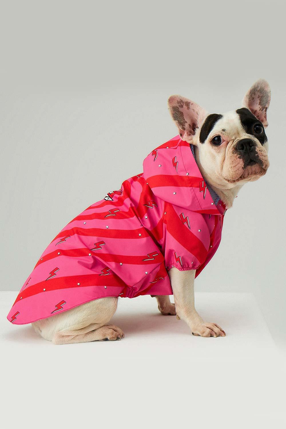 Little Monsters-Heart On Fire Yağmurluk-Köpek-5-Milagron.com