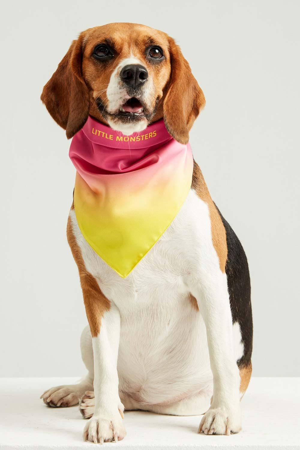 Little Monsters-Hearts Candy Bandana-Köpek-1-Milagron.com