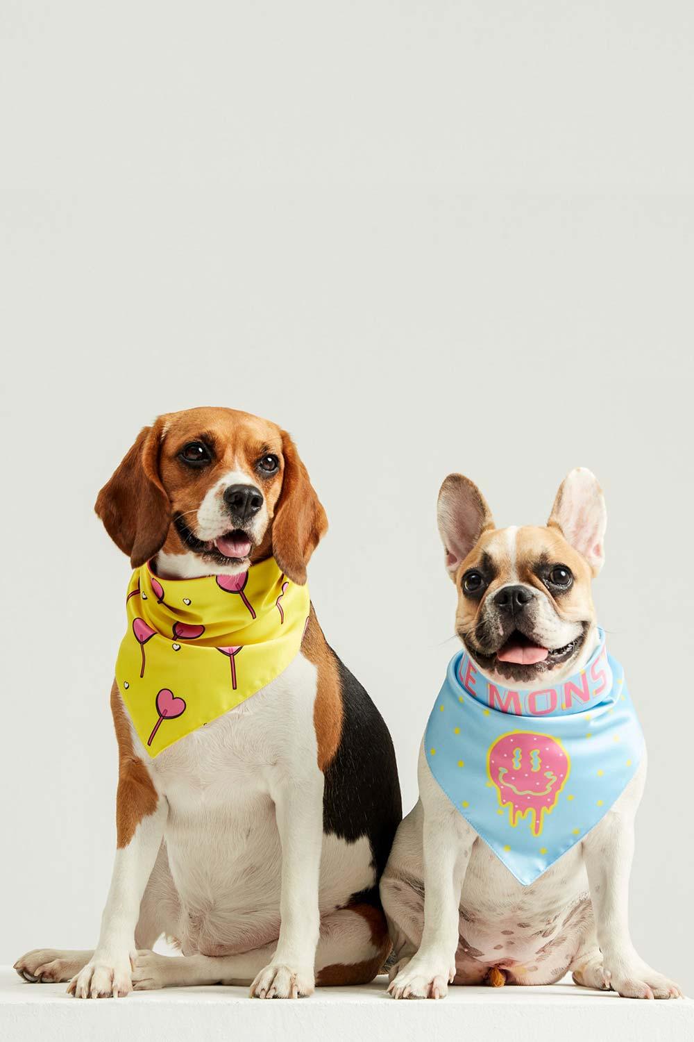 Little Monsters-Hearts Candy Bandana-Köpek-4-Milagron.com