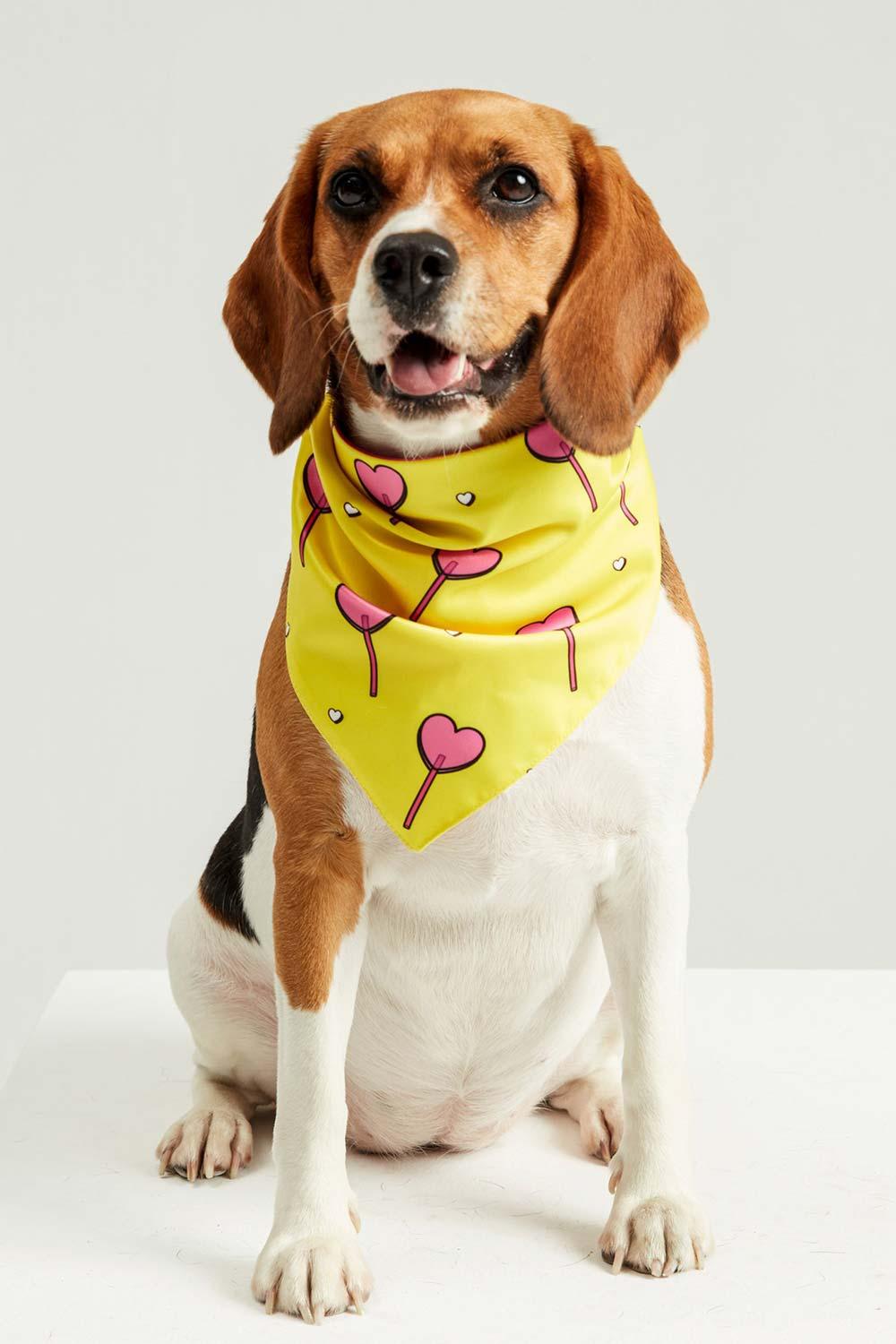 Little Monsters-Hearts Candy Bandana-Köpek-5-Milagron.com