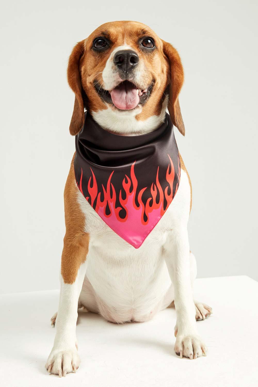 Little Monsters-LM Black Fire Bandana-Köpek-1-Milagron.com