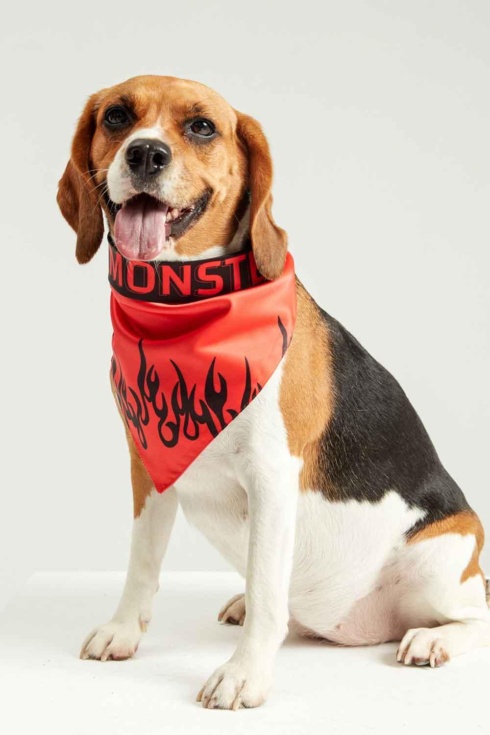 Little Monsters-LM Black Fire Bandana-Köpek-5-Milagron.com