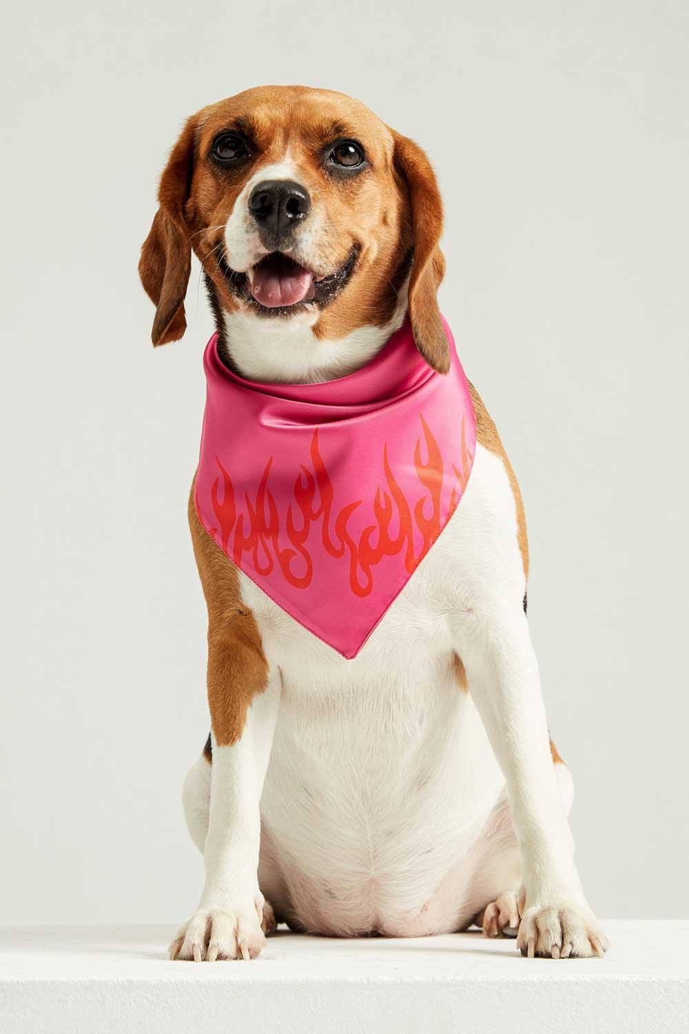 Little Monsters-LM Fire Bandana-Köpek-1-Milagron.com