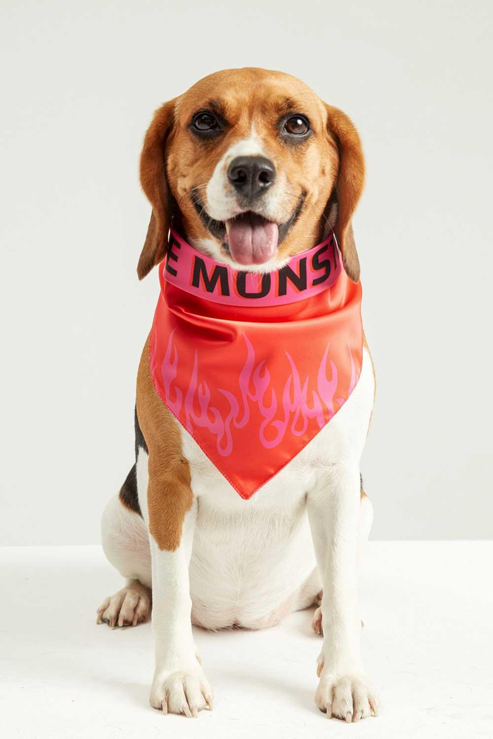 Little Monsters-LM Fire Bandana-Köpek-2-Milagron.com