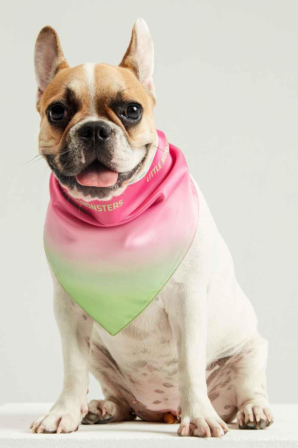 Little Monsters-Make Waves Bandana-Köpek-4-Milagron.com