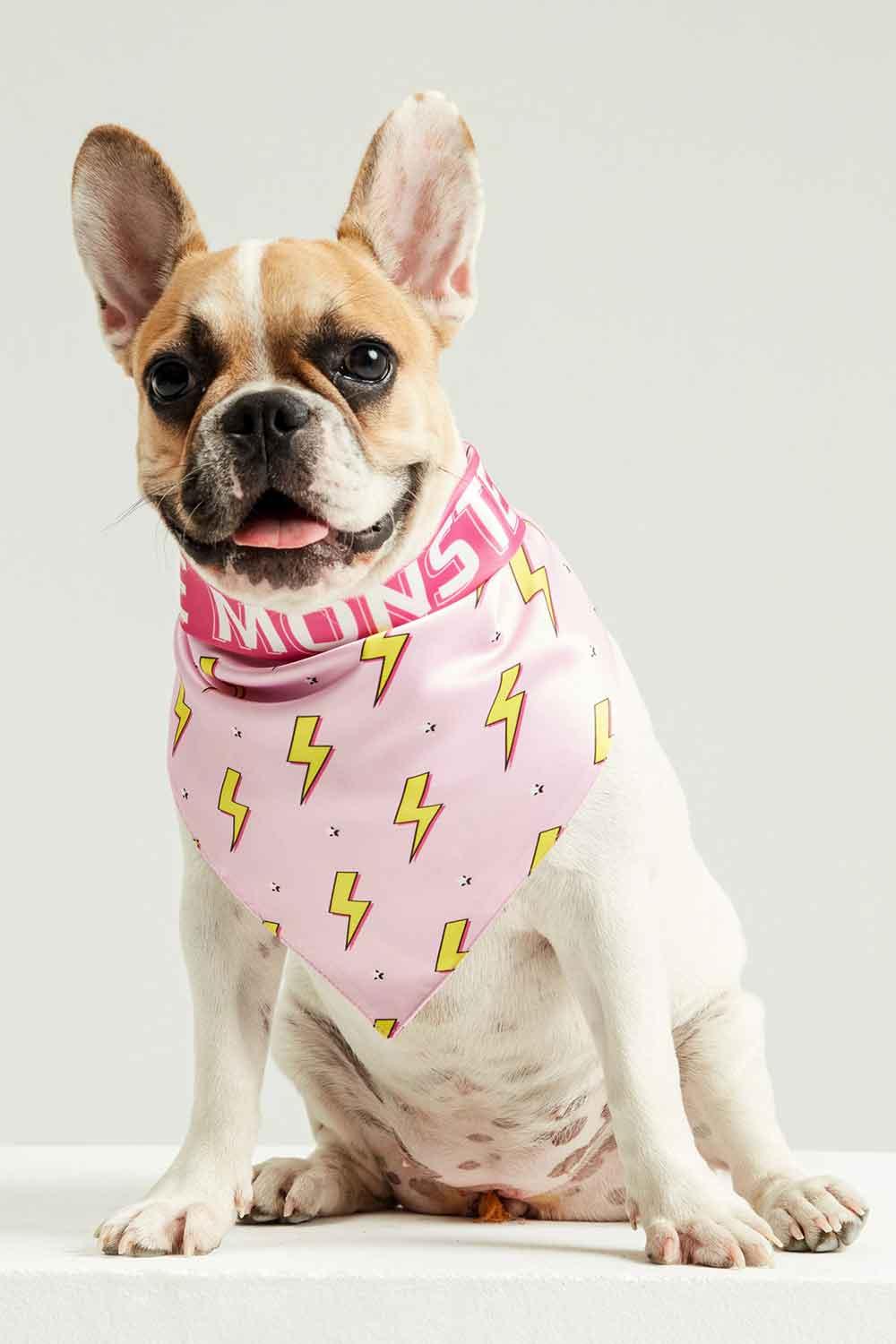 Little Monsters-Pink Flash Bandana-Köpek-4-Milagron.com
