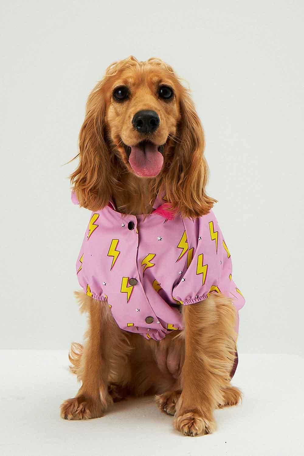 Little Monsters-Pink Flash Yağmurluk-Köpek-2-Milagron.com