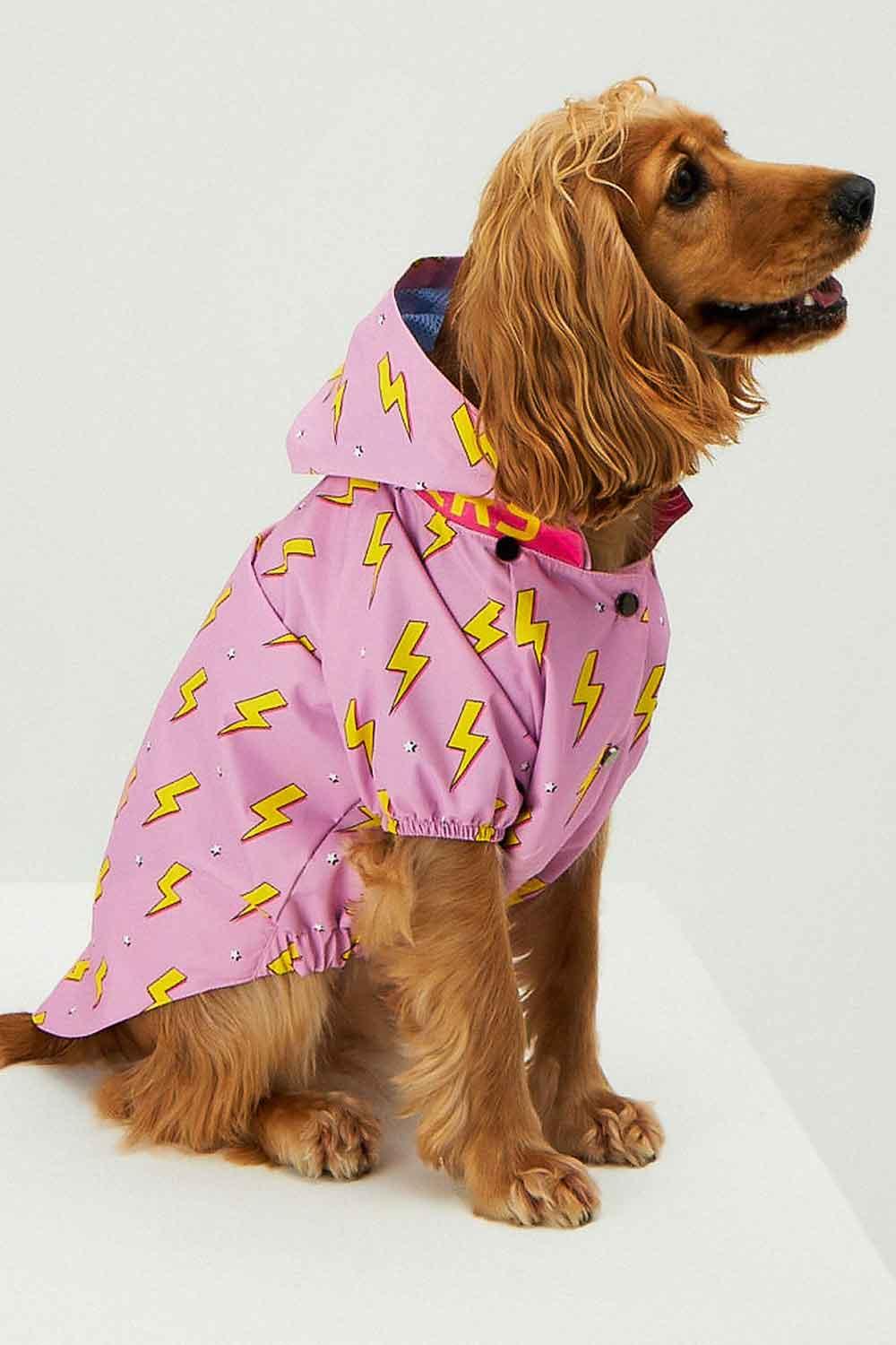 Little Monsters-Pink Flash Yağmurluk-Köpek-3-Milagron.com