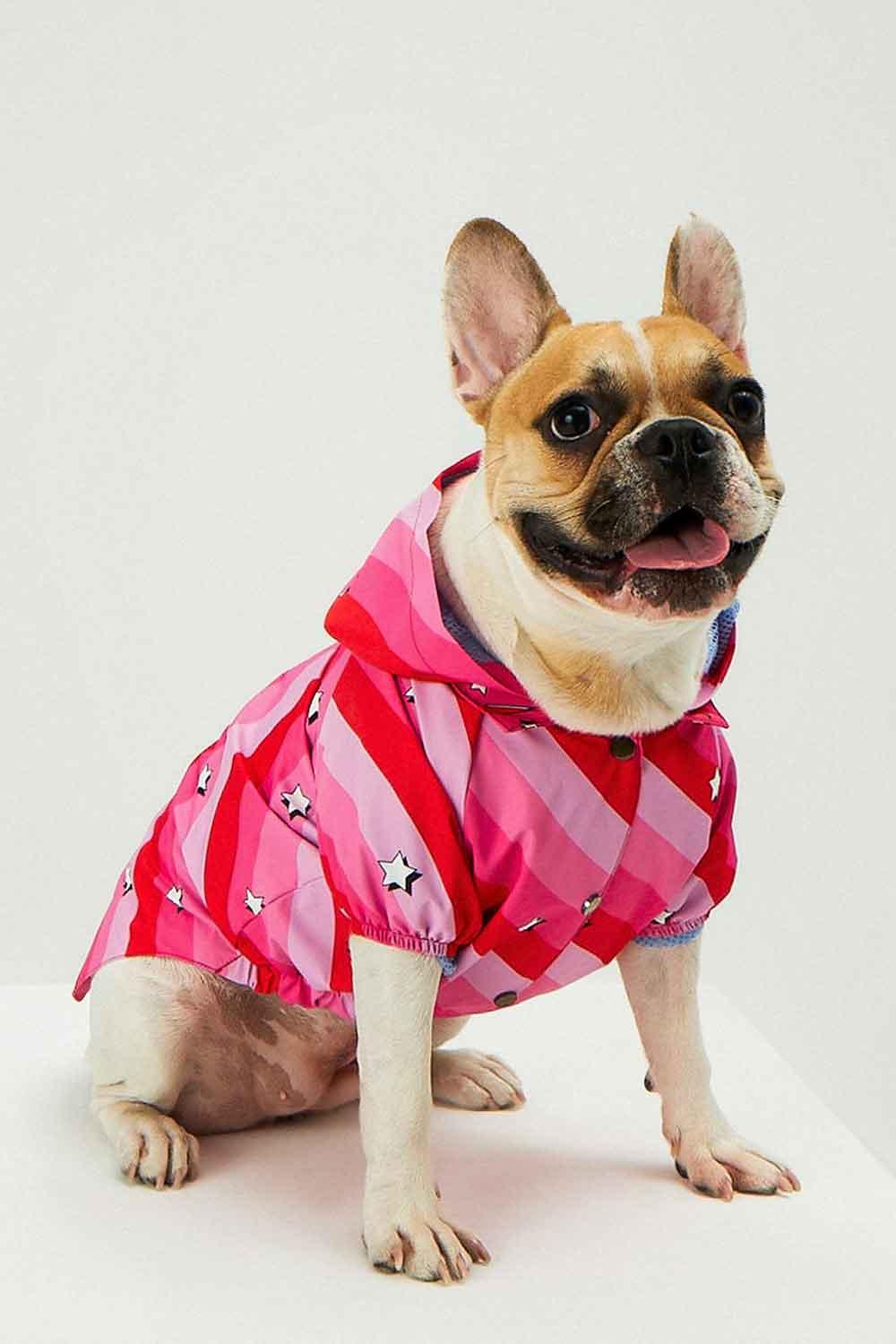 Little Monsters-Pink Swirl Yağmurluk-Köpek-2-Milagron.com