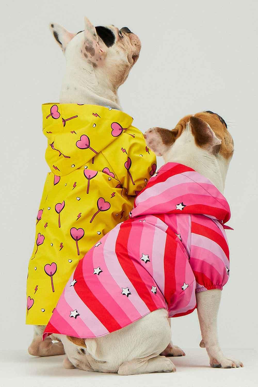 Little Monsters-Pink Swirl Yağmurluk-Köpek-3-Milagron.com