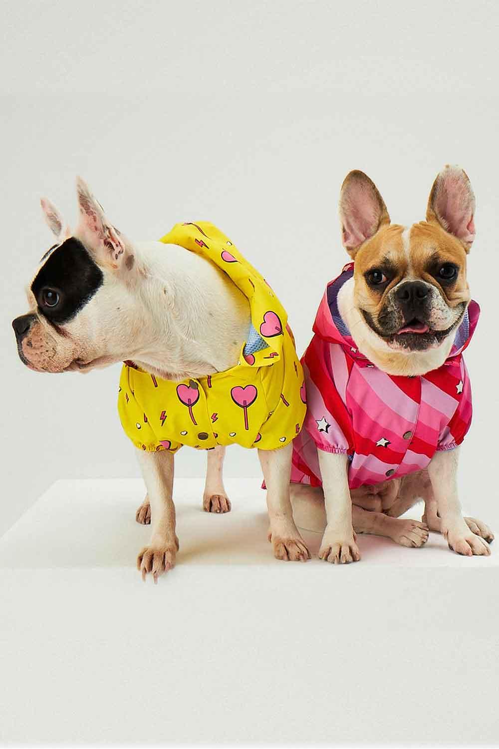 Little Monsters-Pink Swirl Yağmurluk-Köpek-4-Milagron.com