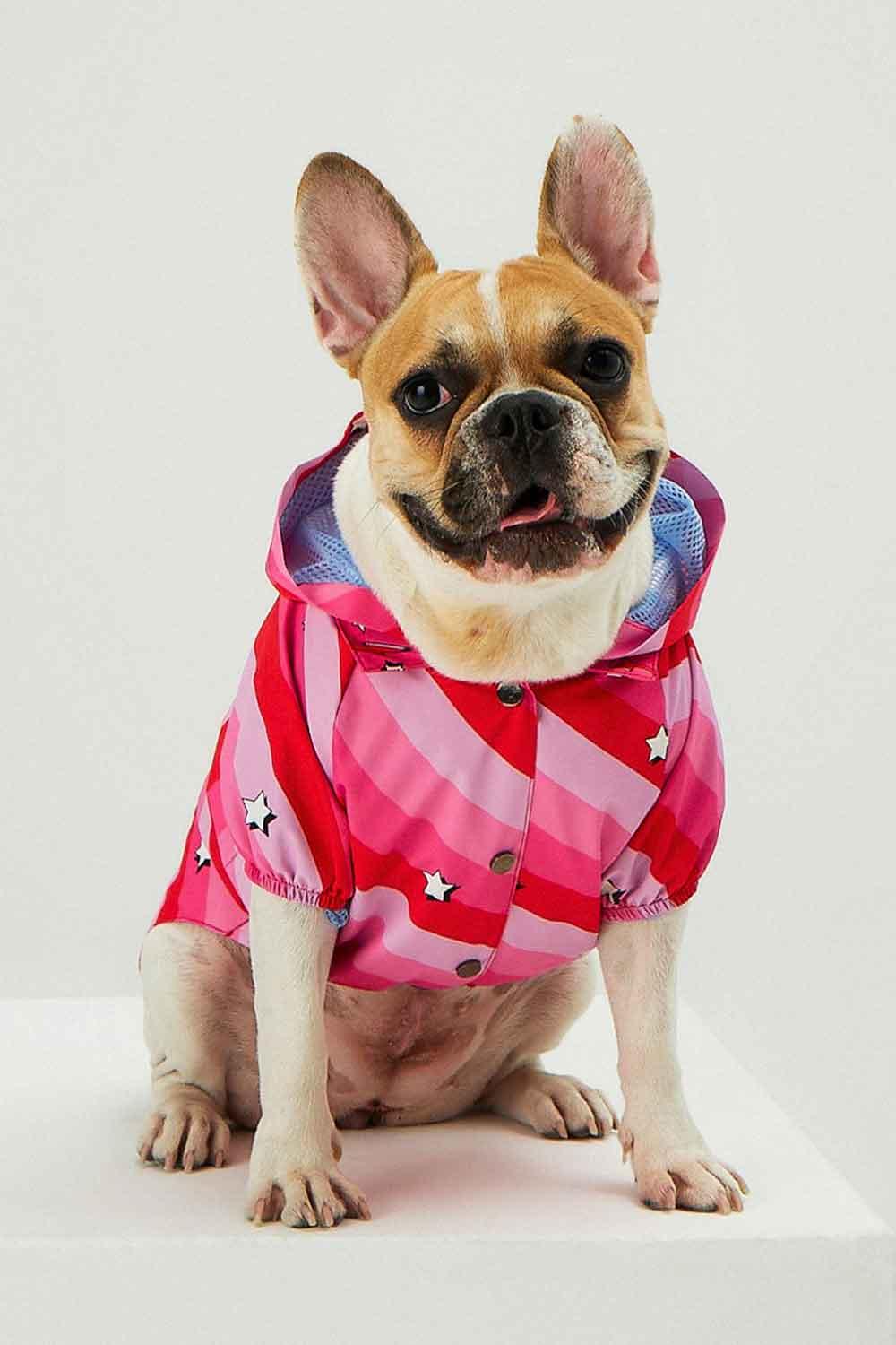 Little Monsters-Pink Swirl Yağmurluk-Köpek-6-Milagron.com