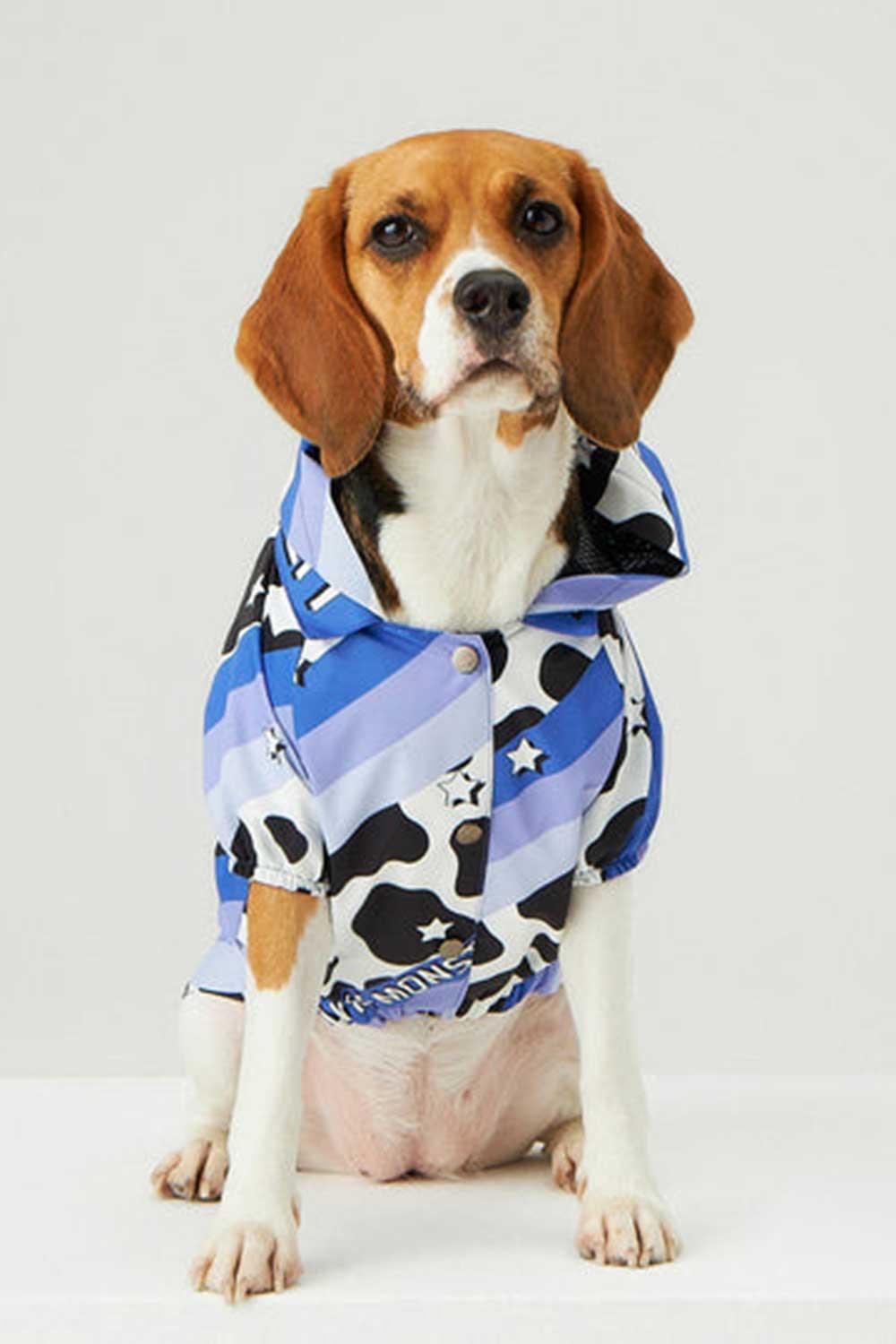 Little Monsters-Purple Swirl Yağmurluk-Köpek-2-Milagron.com