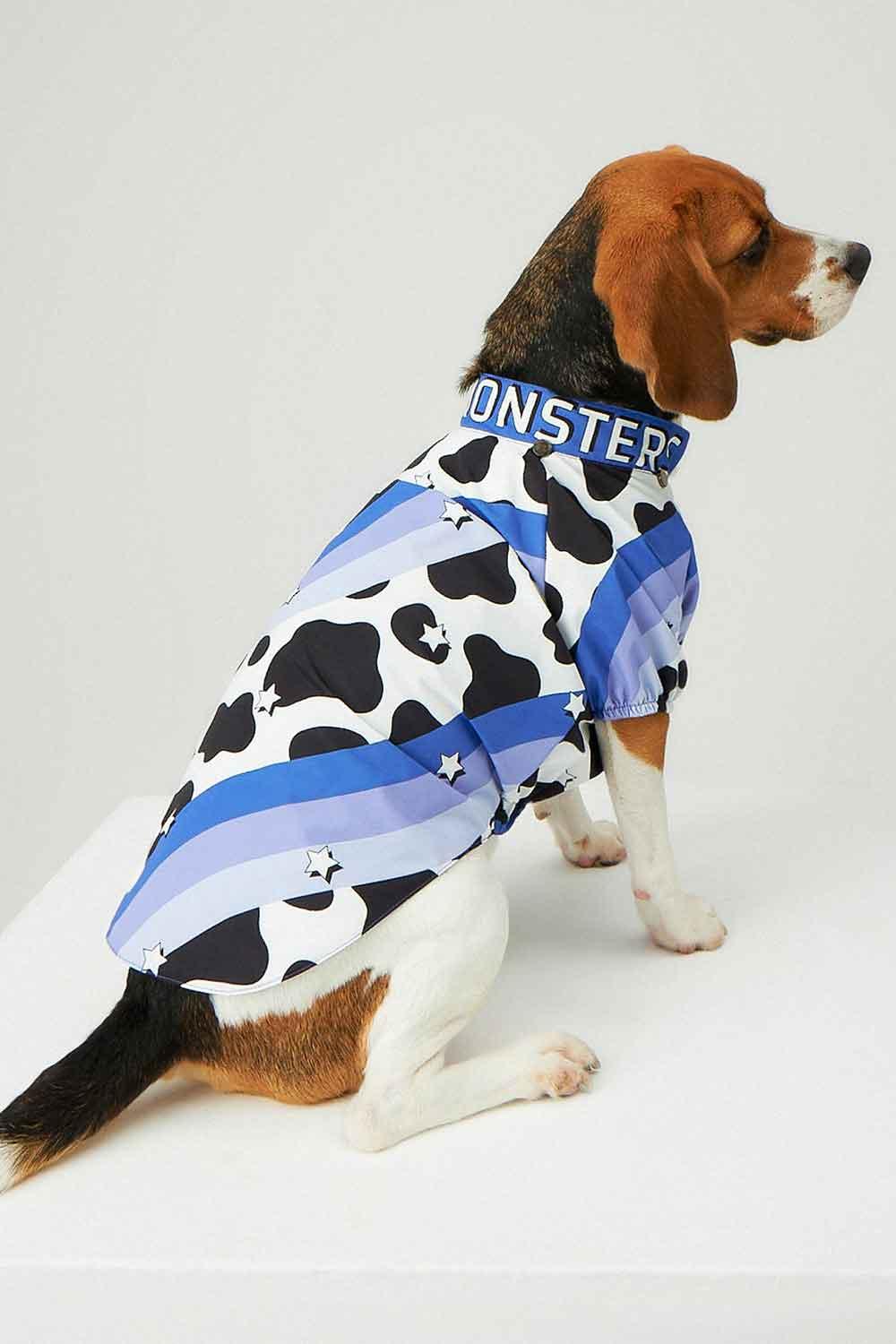 Little Monsters-Purple Swirl Yağmurluk-Köpek-3-Milagron.com