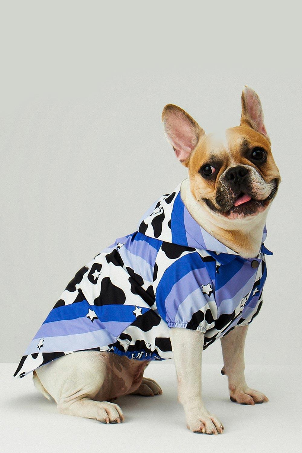 Little Monsters-Purple Swirl Yağmurluk-Köpek-6-Milagron.com