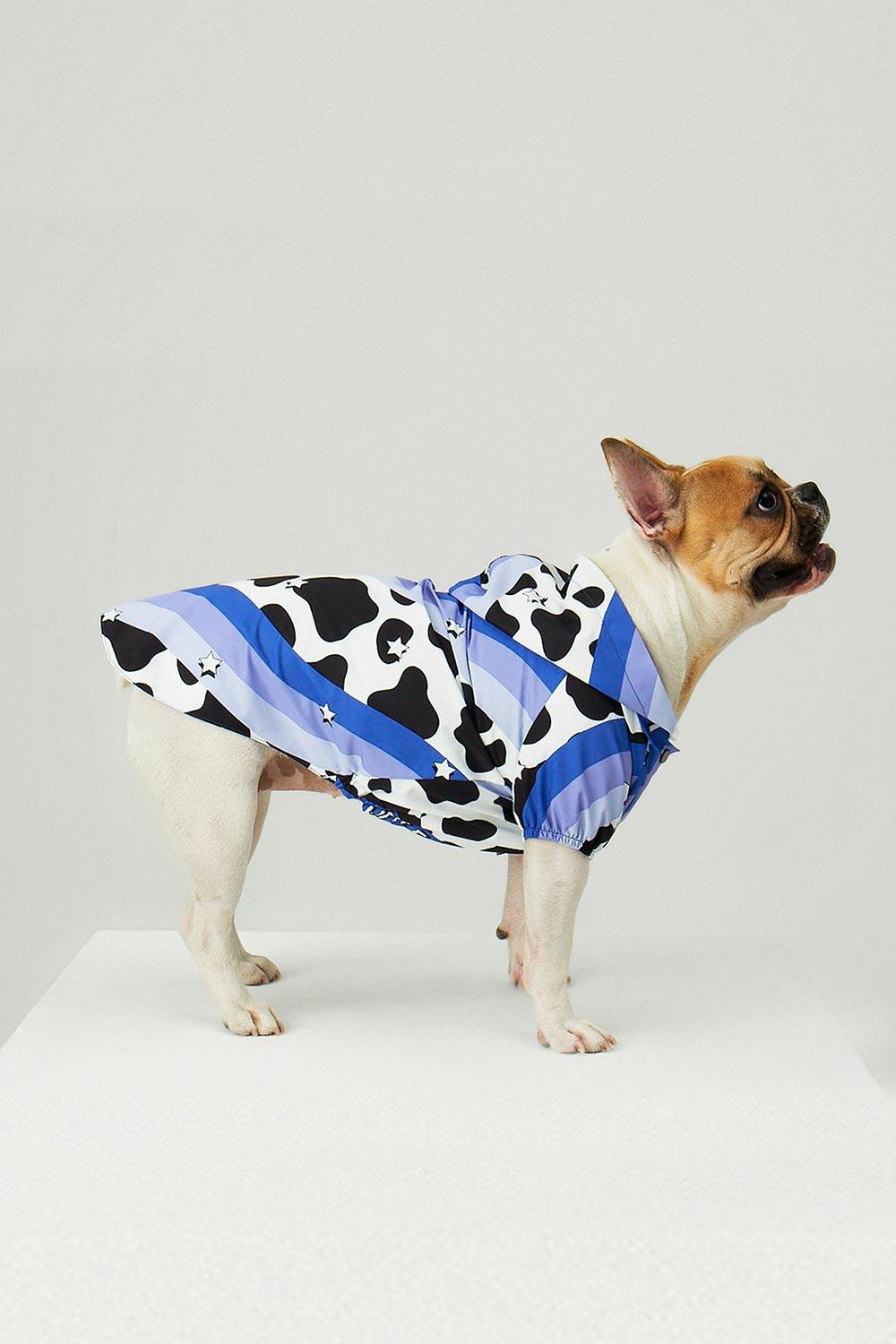 Little Monsters-Purple Swirl Yağmurluk-Köpek-7-Milagron.com