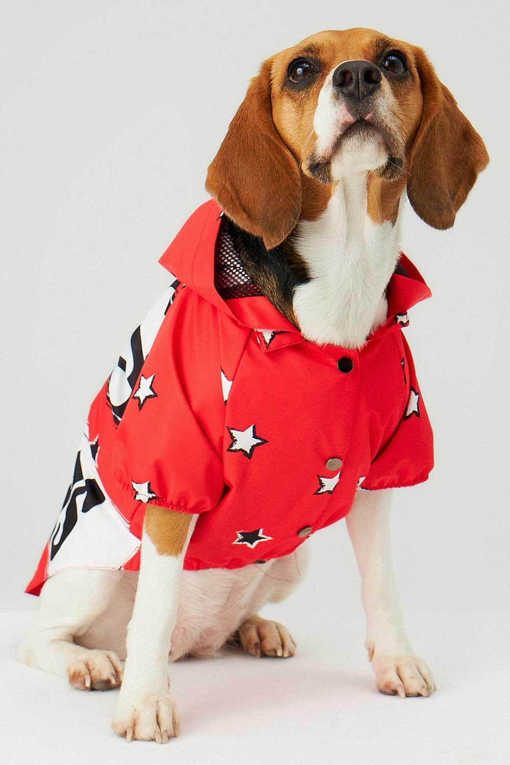 Little Monsters-Red LM Yağmurluk-Köpek-2-Milagron.com