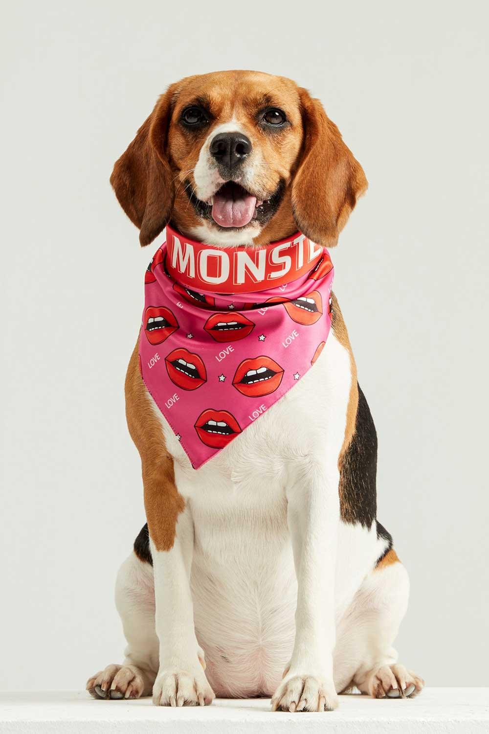 Little Monsters-Savage Love Bandana-Köpek-4-Milagron.com