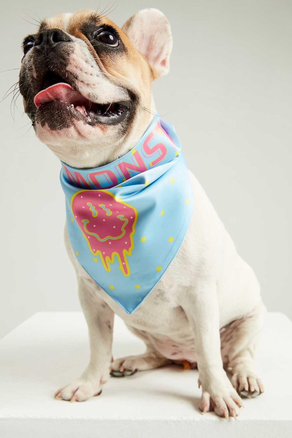Little Monsters-Smells Like Summer Bandana-Köpek-1-Milagron.com