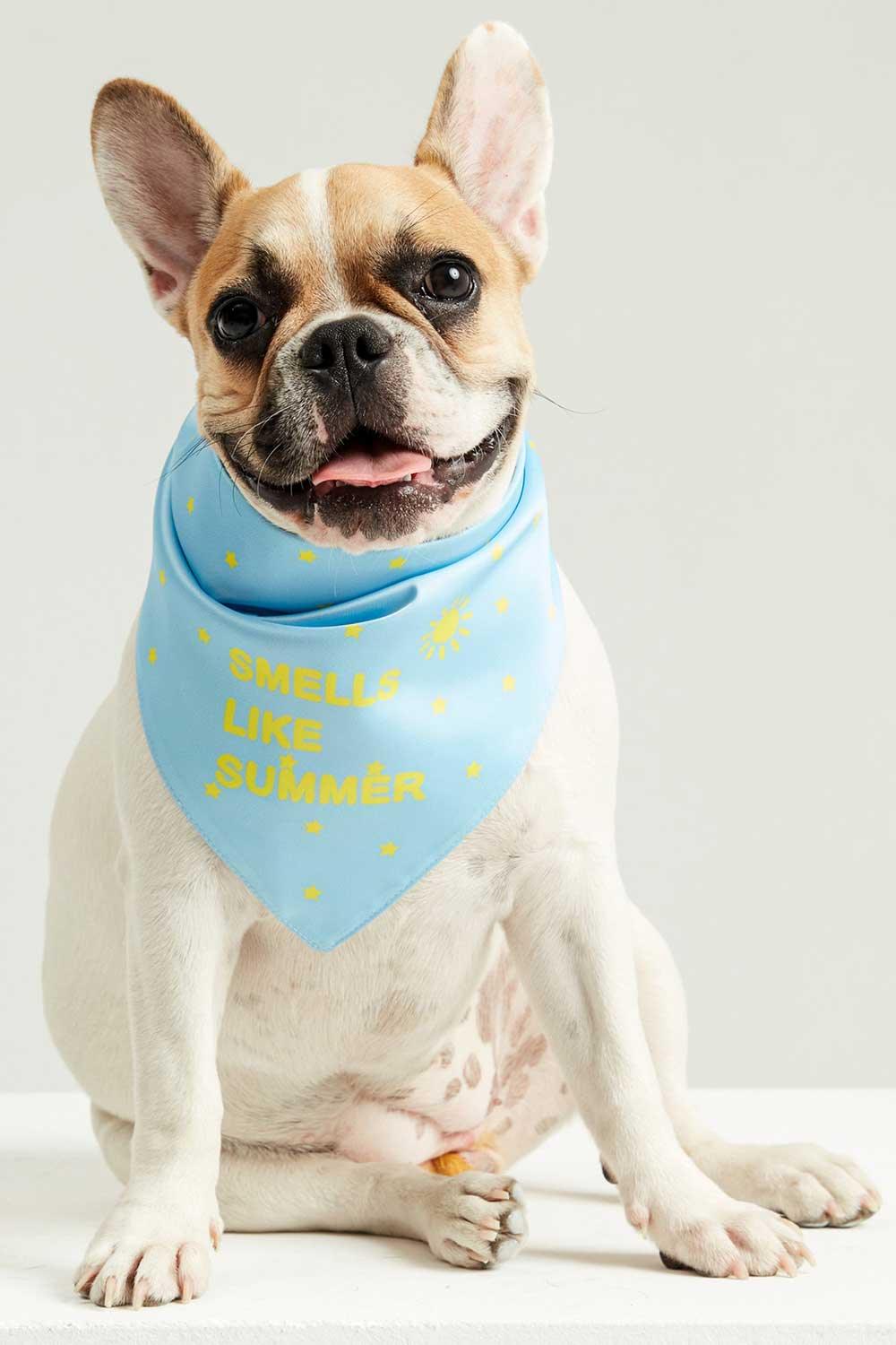 Little Monsters-Smells Like Summer Bandana-Köpek-2-Milagron.com