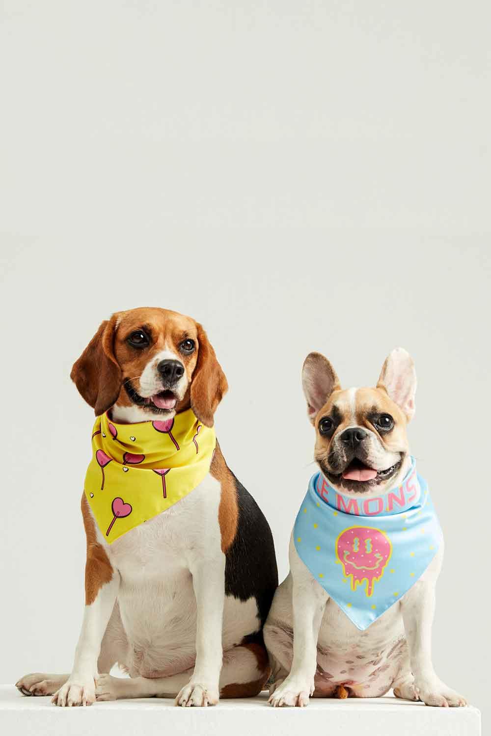 Little Monsters-Smells Like Summer Bandana-Köpek-5-Milagron.com