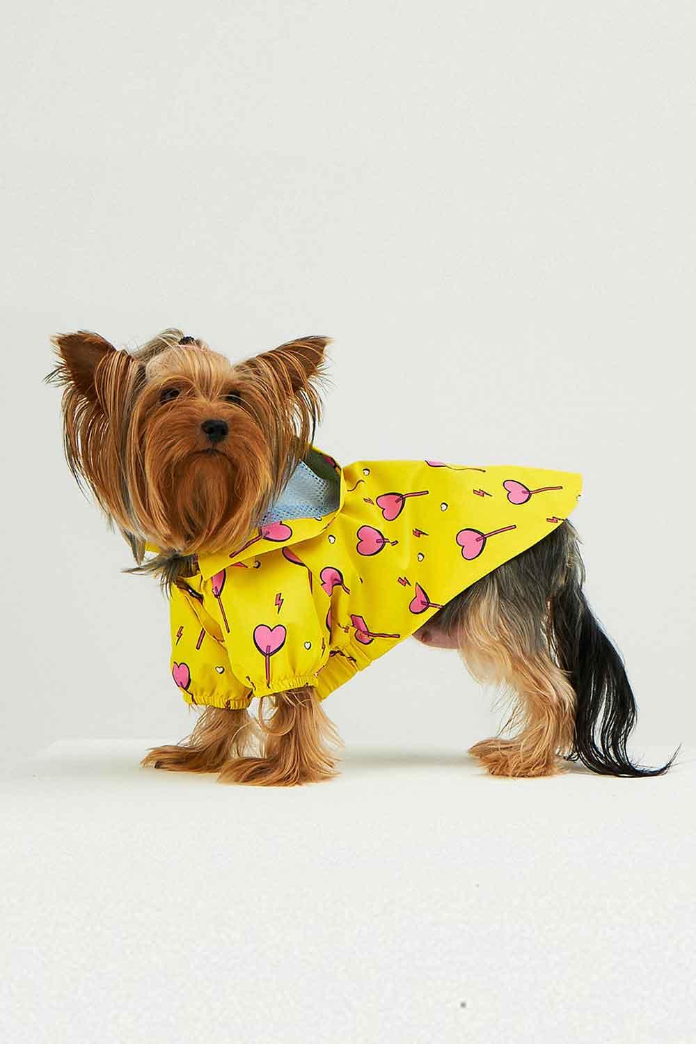 Little Monsters-Yellow Heart Candy Yağmurluk-Köpek-2-Milagron.com