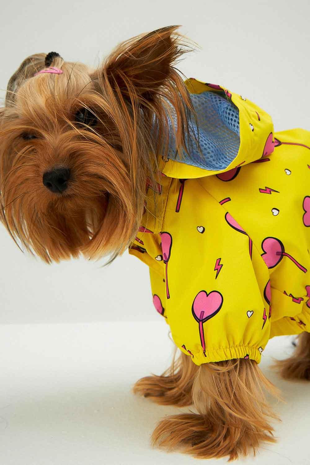 Little Monsters-Yellow Heart Candy Yağmurluk-Köpek-4-Milagron.com