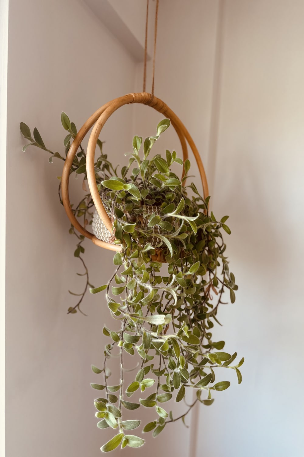 Lo-Fi House-Enoki Asılabilir Rattan Saksı-Dekoratif Saksı-1-Milagron.com