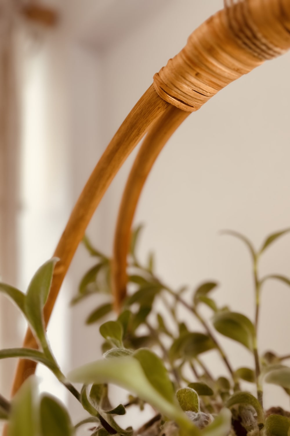 Lo-Fi House-Enoki Asılabilir Rattan Saksı-Dekoratif Saksı-2-Milagron.com