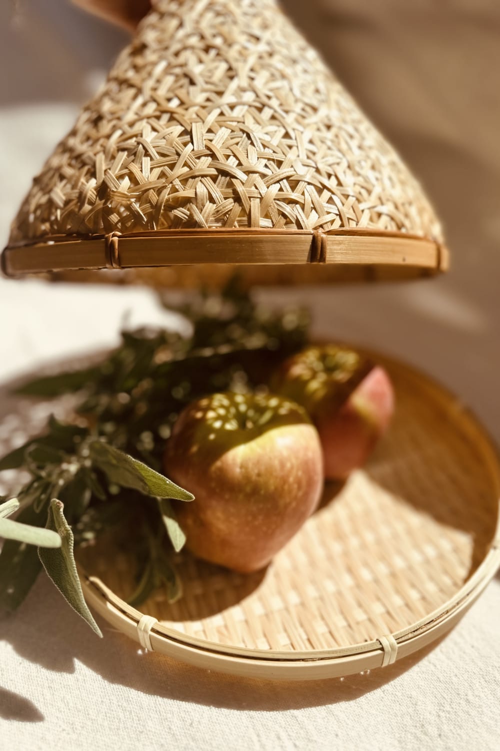 Lo-Fi House-Pampas Bambu Saklama Kabı-Sunum Aksesuarları-2-Milagron.com