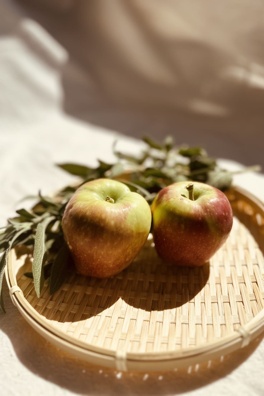 Lo-Fi House-Pampas Bambu Saklama Kabı-Sunum Aksesuarları-3-Milagron.com