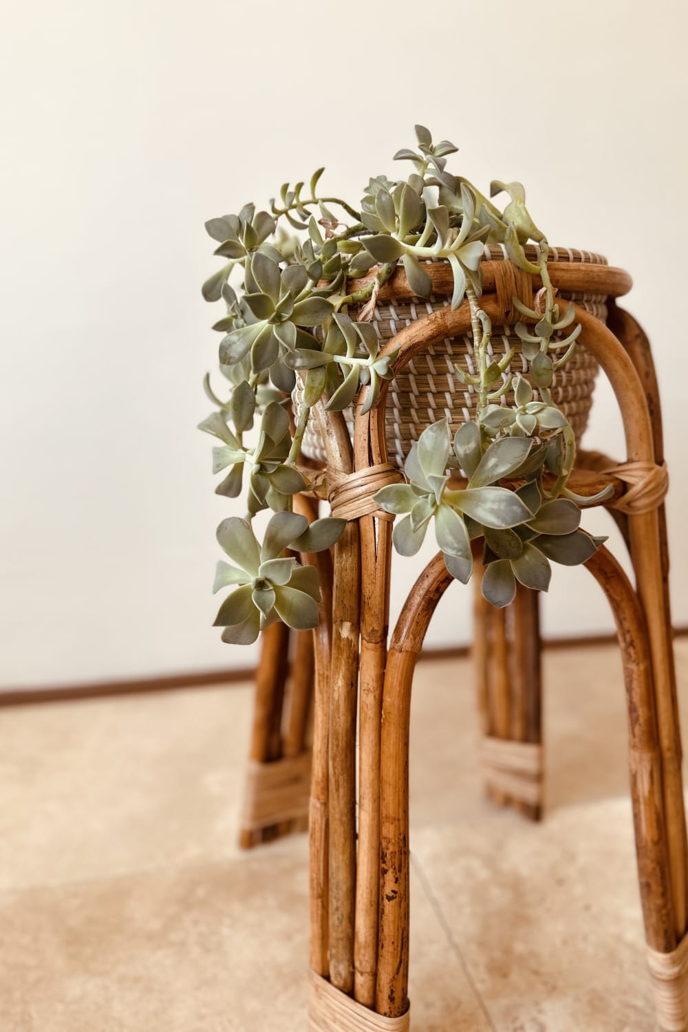 Lo-Fi House-Sable Rattan Saksılık-Dekoratif Saksı-1-Milagron.com