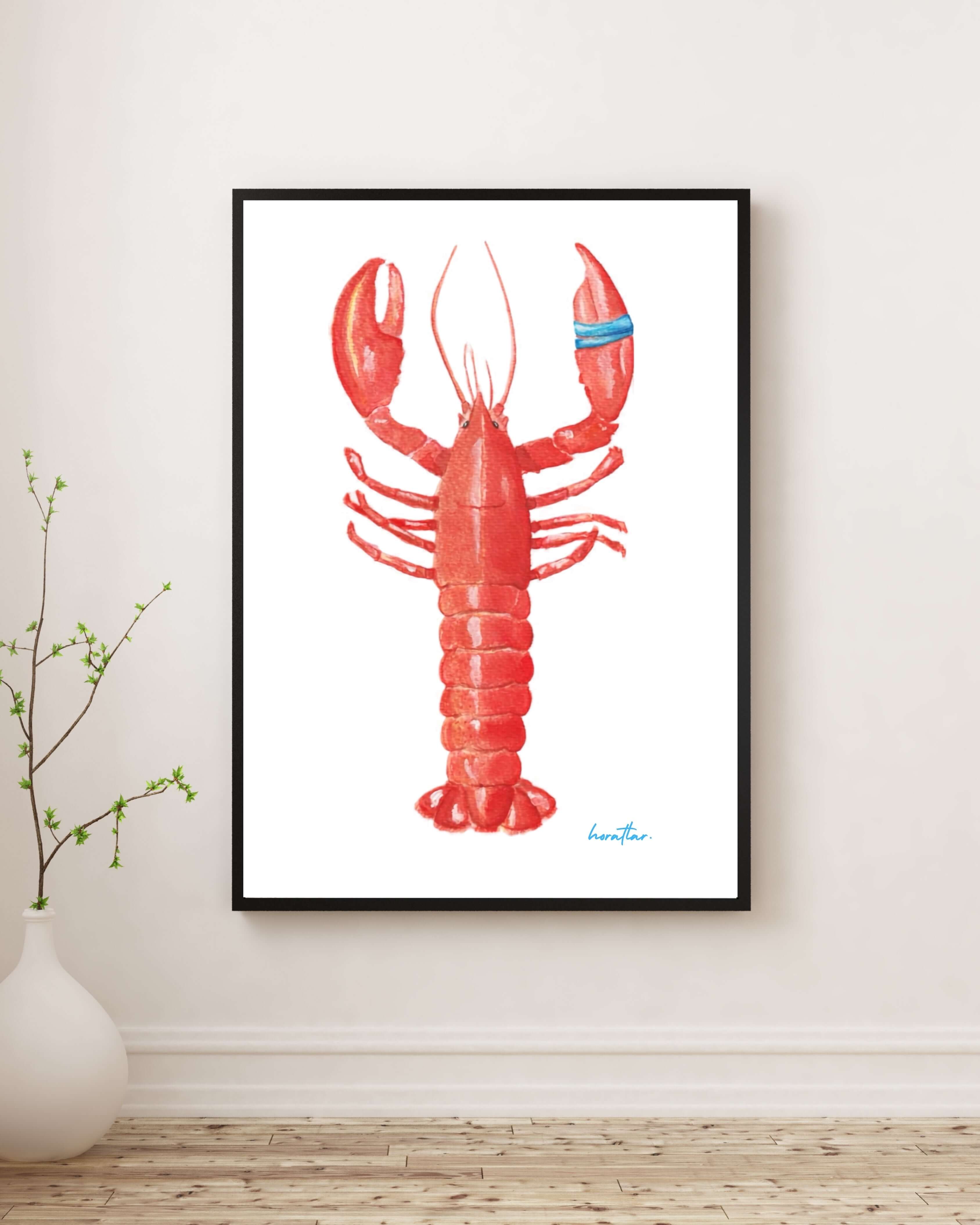 Hazal Türer - Lobster