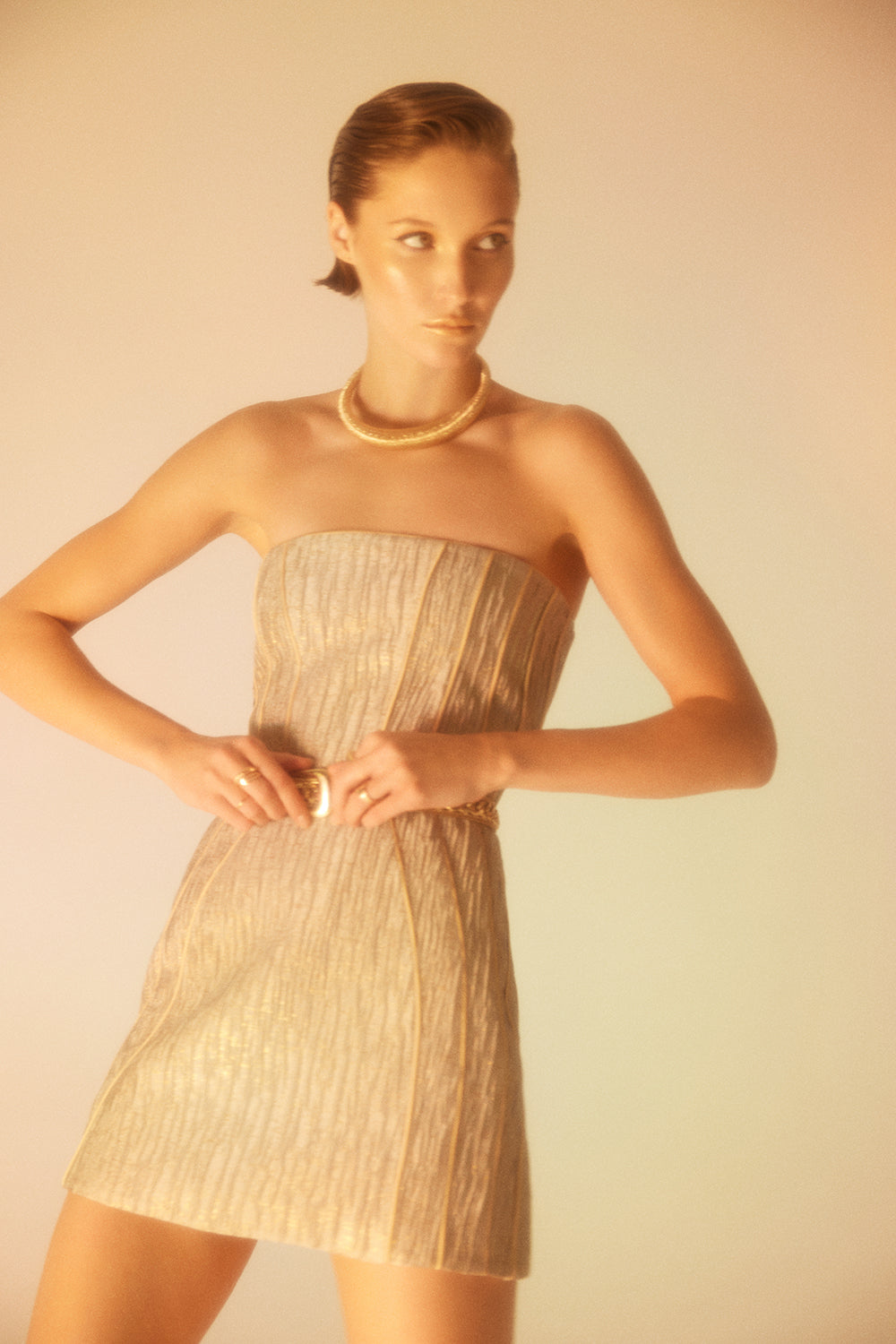 Lunaire Studio-Golden Shadows - Straplez Mini Elbise-Elbise-4-Milagron.com