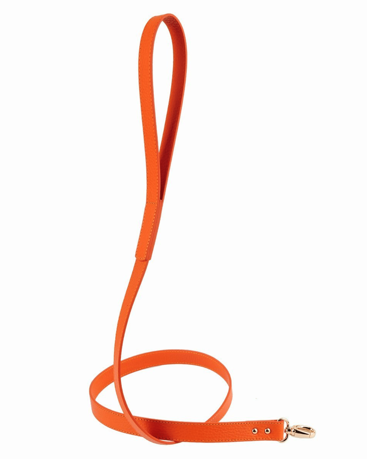 Balley Dog Leash