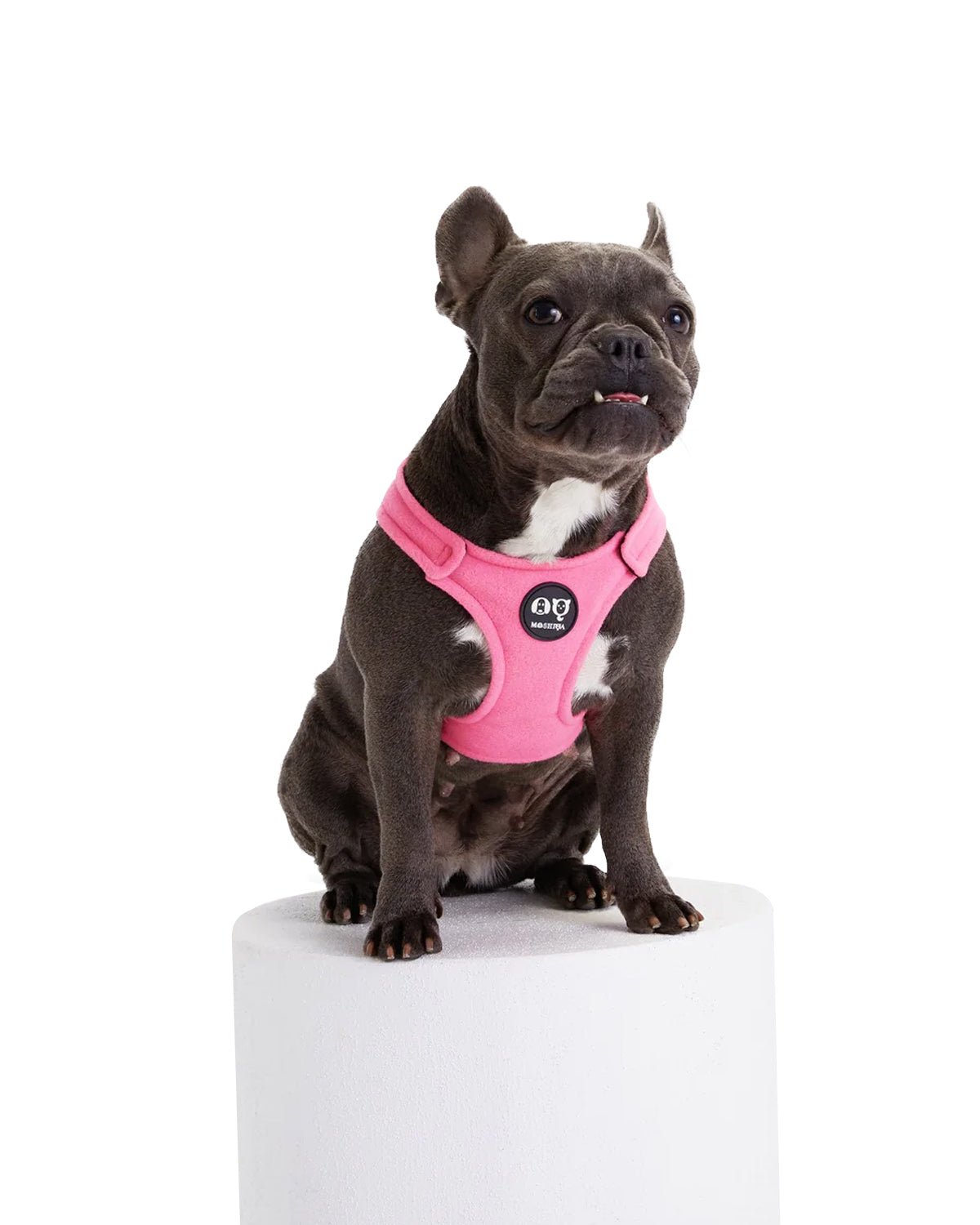Bonbon Dog Harness